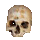 Polished Skull Bone Cap (Legendary)