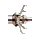 Barbed Arrow Tip