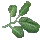 Singed Petrified Leaf