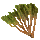 Roaring Grass