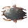 Crawdad