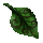 Band of Rotting Leaves