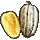 Hurpuc Fruit