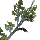 Sprig of Rotweed