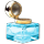 Perfected Augmentation Distiller