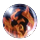 Crucible of the Elements
