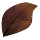Skullcap
