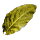 Wilted Laburnum