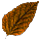 Living Leaf Earring
