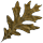 Lucidem