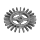 High Quality Steel Gear