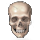 Drezdal's Skull