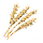 Barley