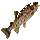 Stonefish