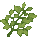 Taelosian Mountain Tea Leaves