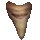 Shark Tooth