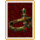 Dirulia Insignia
