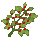 Small Manisi Plant