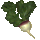 Shapely Vegetation