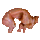 1 lb. Hynid Meat